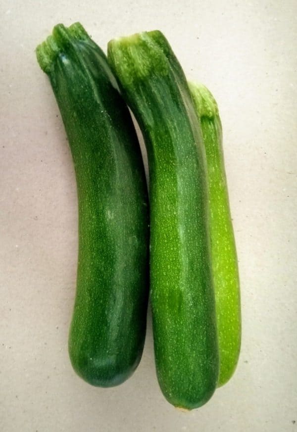 Zucchine BIO Scure 1Kg