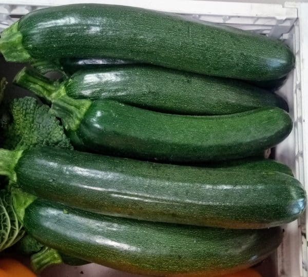 Zucchine BIO Scure 1Kg - immagine 2